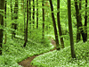 Rainforest Alliance- Seznámení s požadavky standardu
